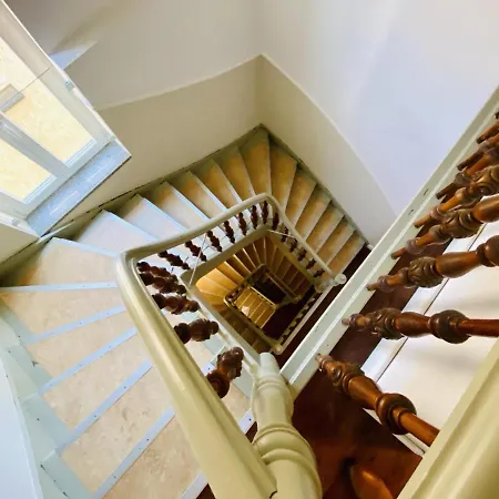 Seevogel/lachmoewe *