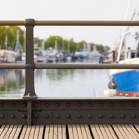 Seevogel/lachmoewe Rostock