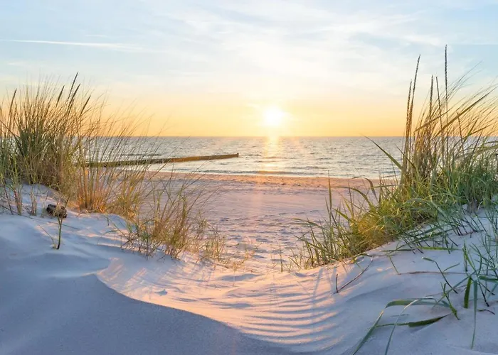 Seevogel/lachmoewe アパート