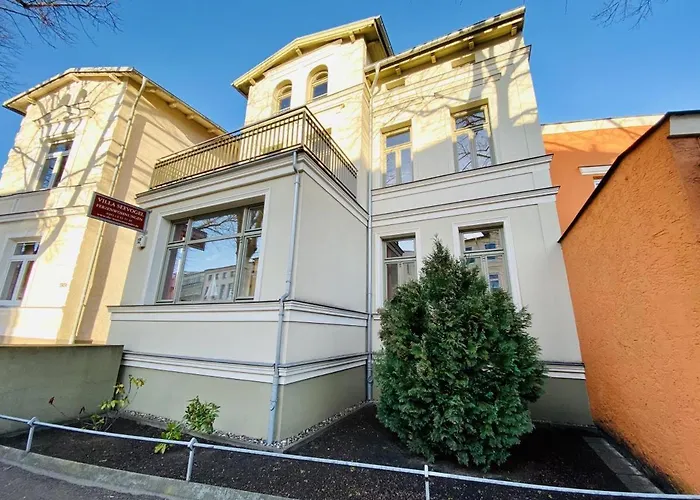 Seevogel/lachmoewe * ロストック