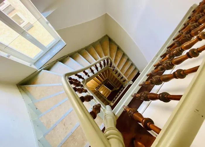 Seevogel/lachmoewe *