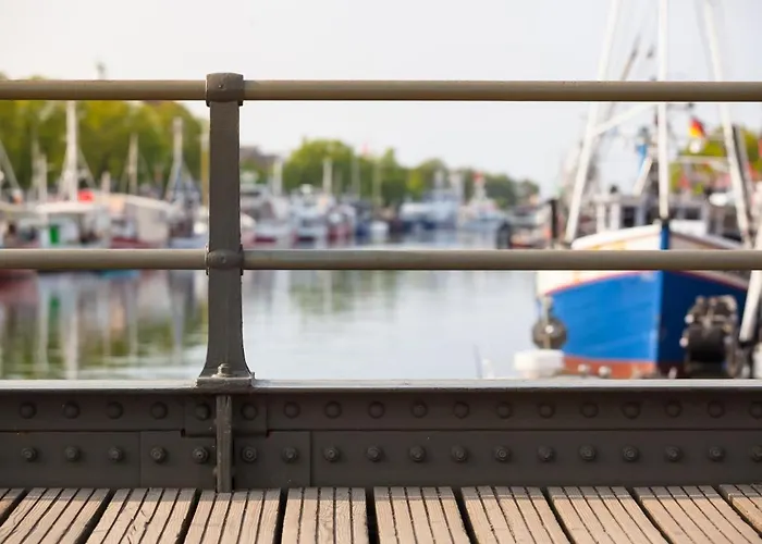 Seevogel/lachmoewe ロストック